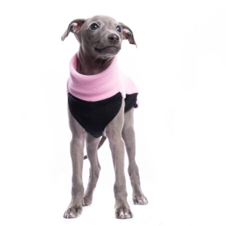DG IG PUPPY TOP „LIGHT PINK