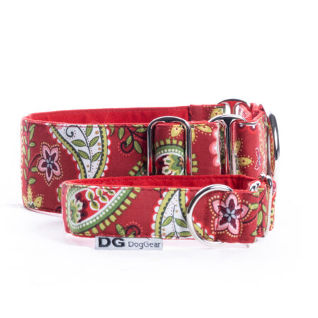 RED PAISLEY