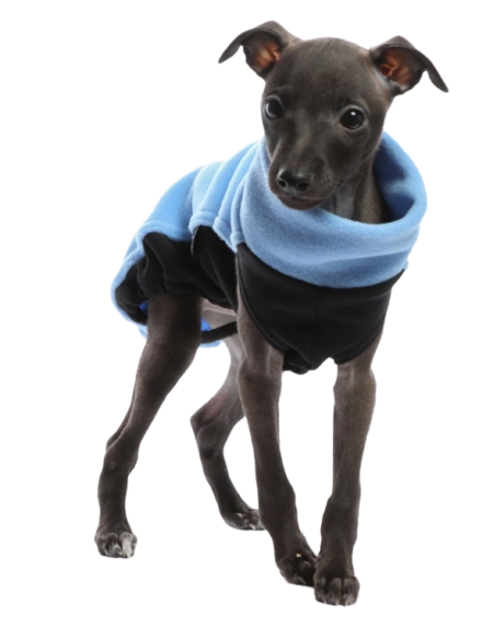 DG IG PUPPY TOP „SKY BLUE