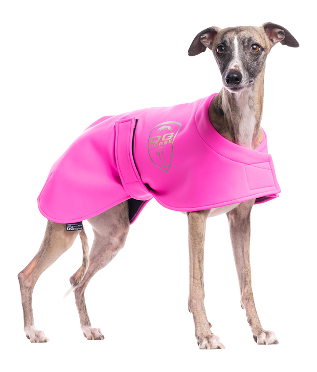 DG RACING DEČKA "NEON PINK
