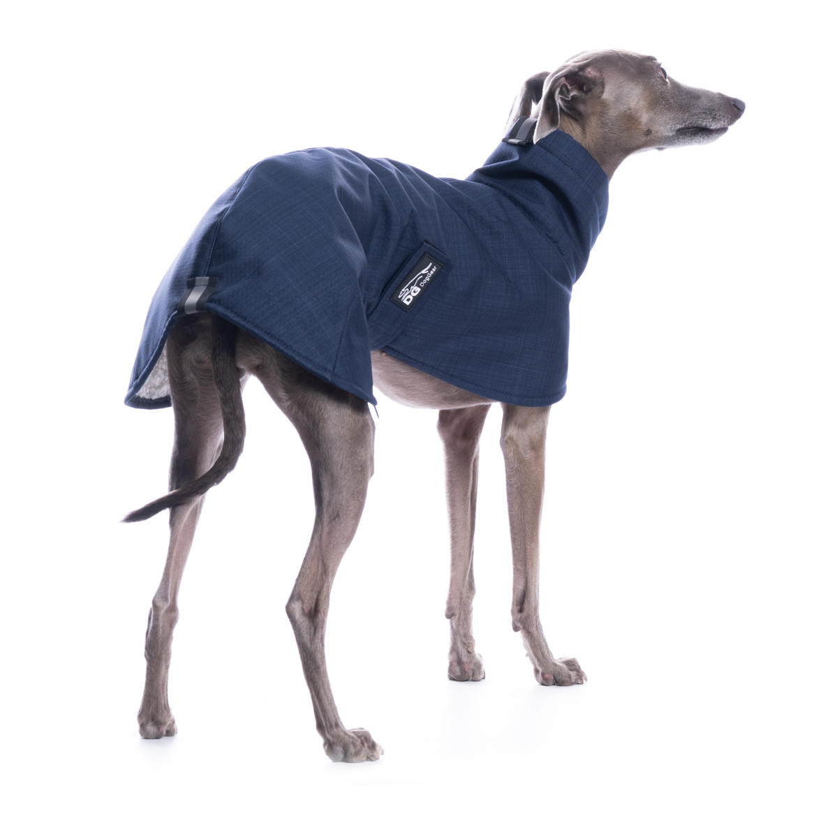 DG BASIC JACKET "PAEGANT BLUE" - Image 5
