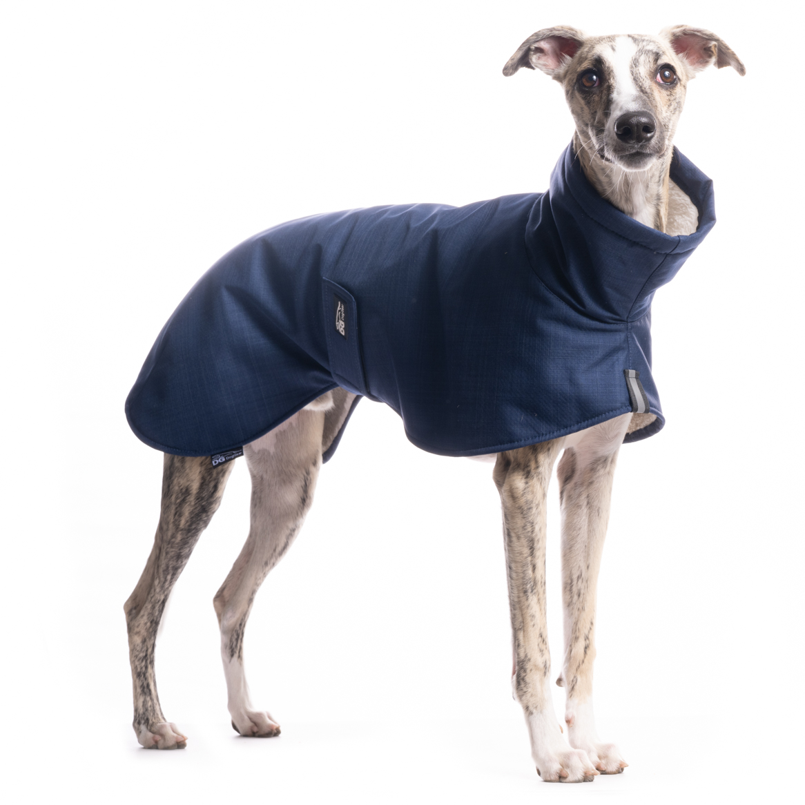 DG BASIC JACKET "PAEGANT BLUE" - Image 2