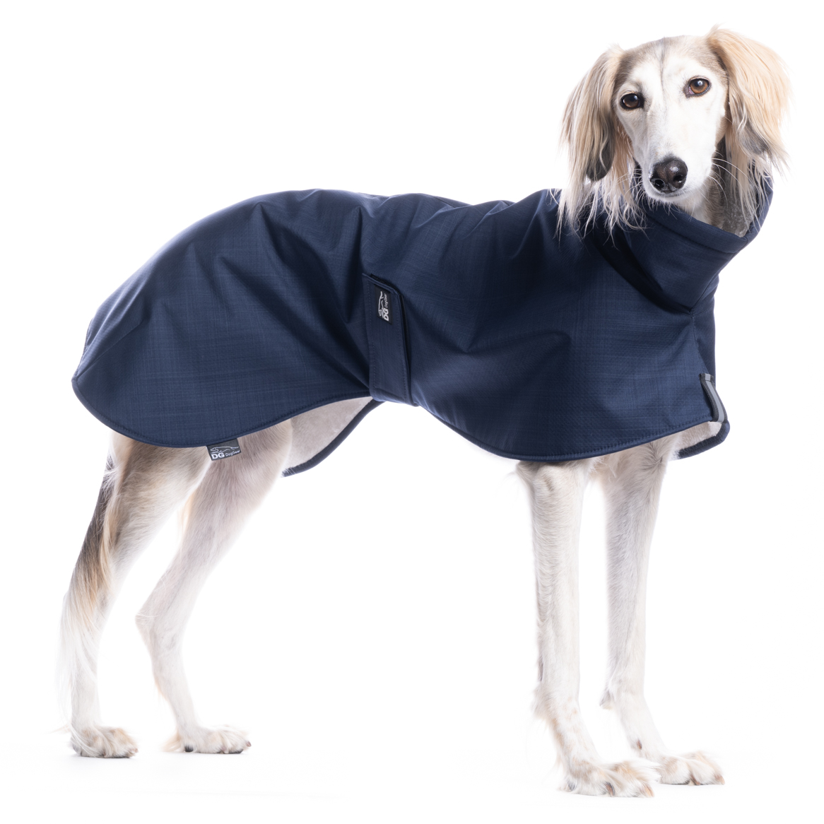 DG BASIC JACKET "PAEGANT BLUE" - Image 3