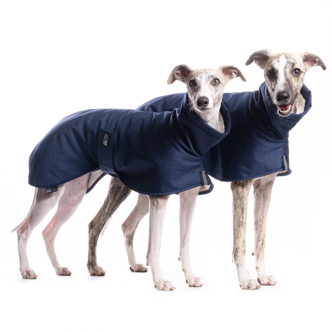 DG BASIC JACKET "PAEGANT BLUE" - Image 4