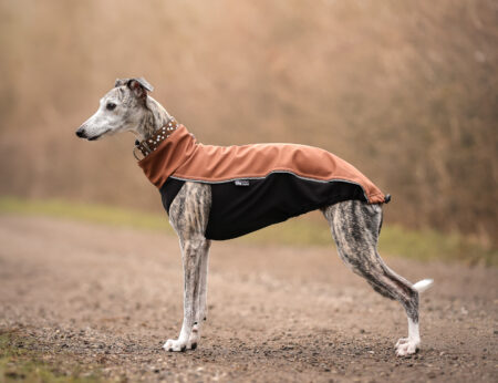 DG OUTDOOR TOP SOFT SHELL „MOCHA BISQUE