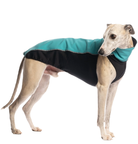 DG OUTDOOR TOP SOFT SHELL „AQUA“