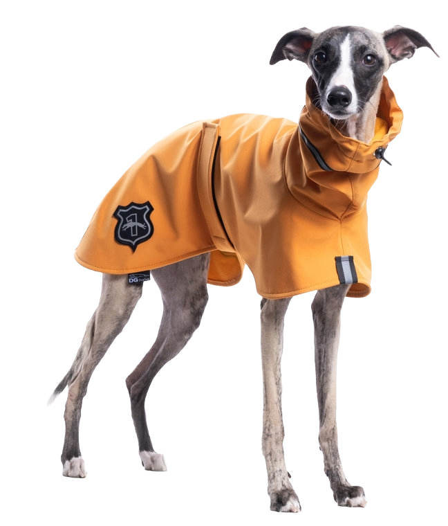 DG BASIC LIGHT JACKE "APRICOT