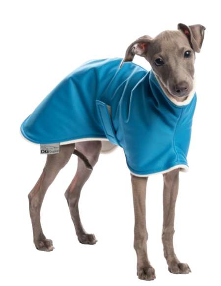 DG IG PUPPY BUNDA START „BLUE