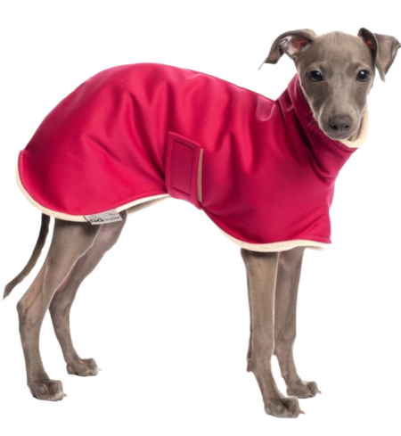 DG IG PUPPY BUNDA START „PINK