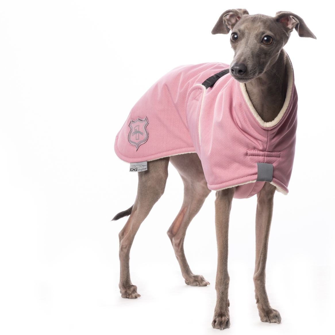DG BASIC PLUS JACKE "DUSTY ROSE – Bild 2