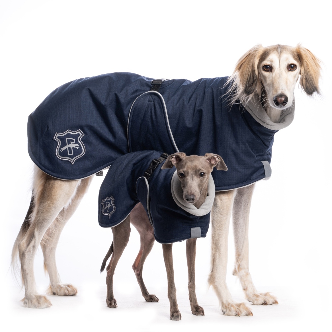 DG BASIC PLUS JACKE "PAEGANT BLUE – Bild 4