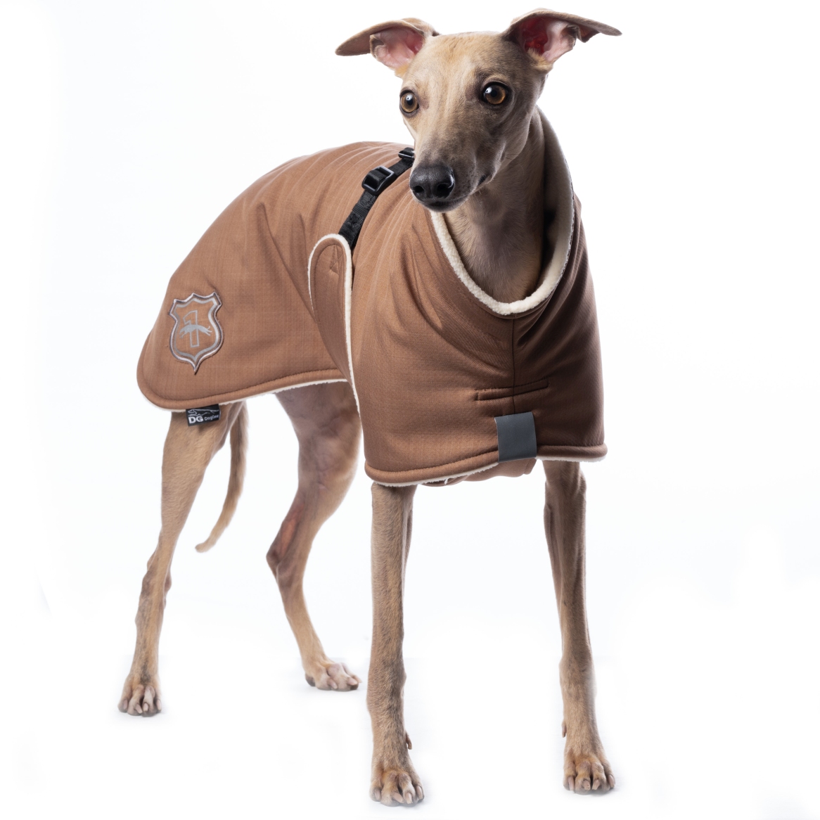 DG BASIC PLUS JACKE "CHIPMUNK – Bild 2