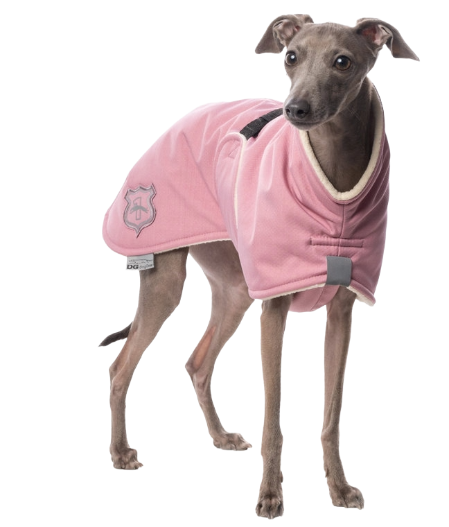 DG BASIC PLUS JACKE "DUSTY ROSE