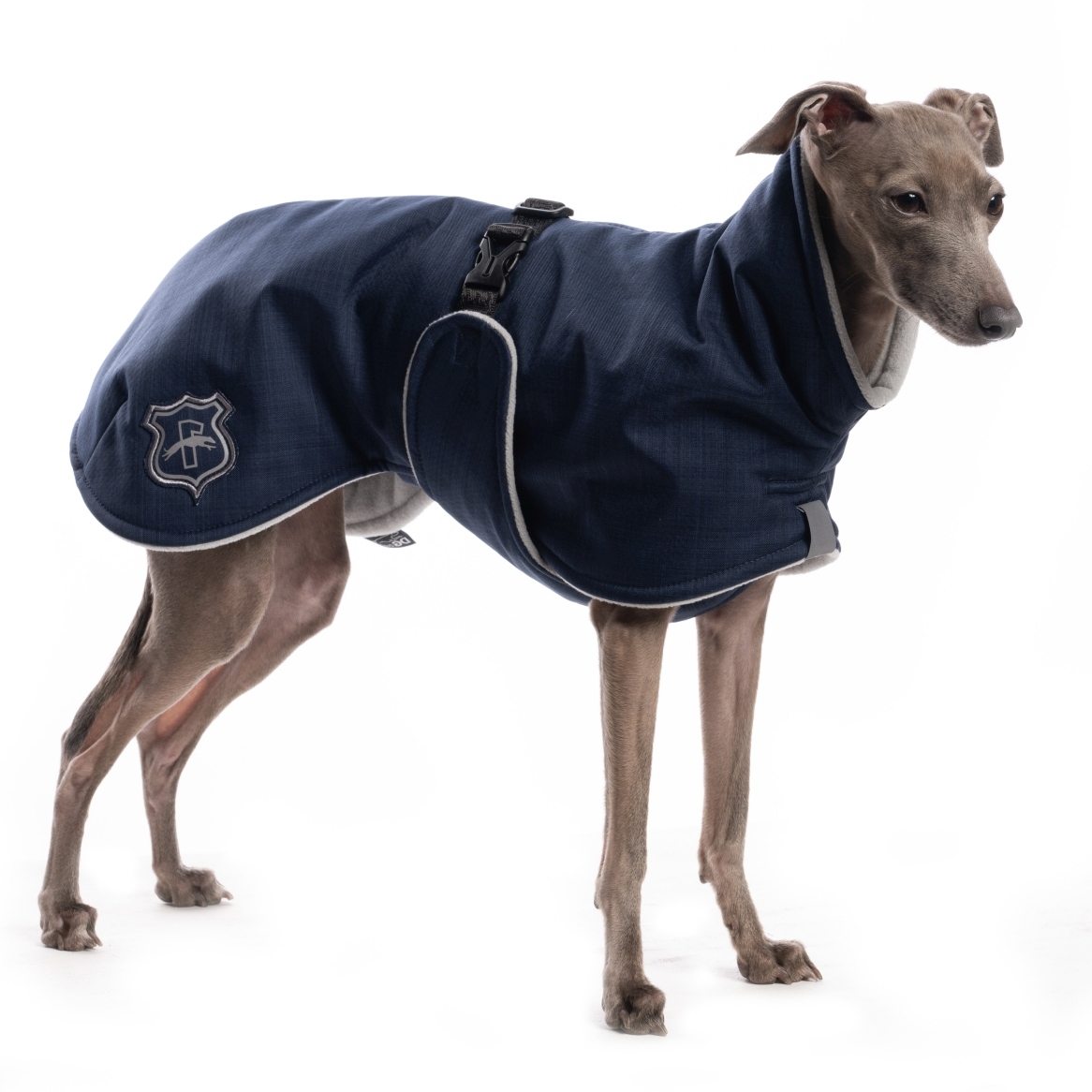 DG BASIC PLUS JACKE "PAEGANT BLUE – Bild 2