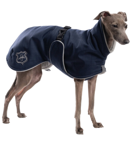 DG BASIC PLUS JACKE „PAEGANT BLUE