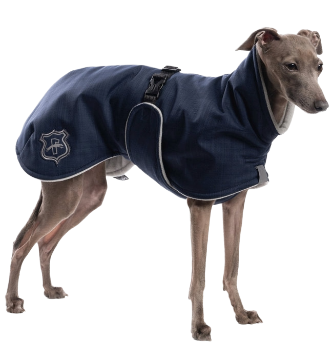 DG BASIC PLUS JACKE "PAEGANT BLUE