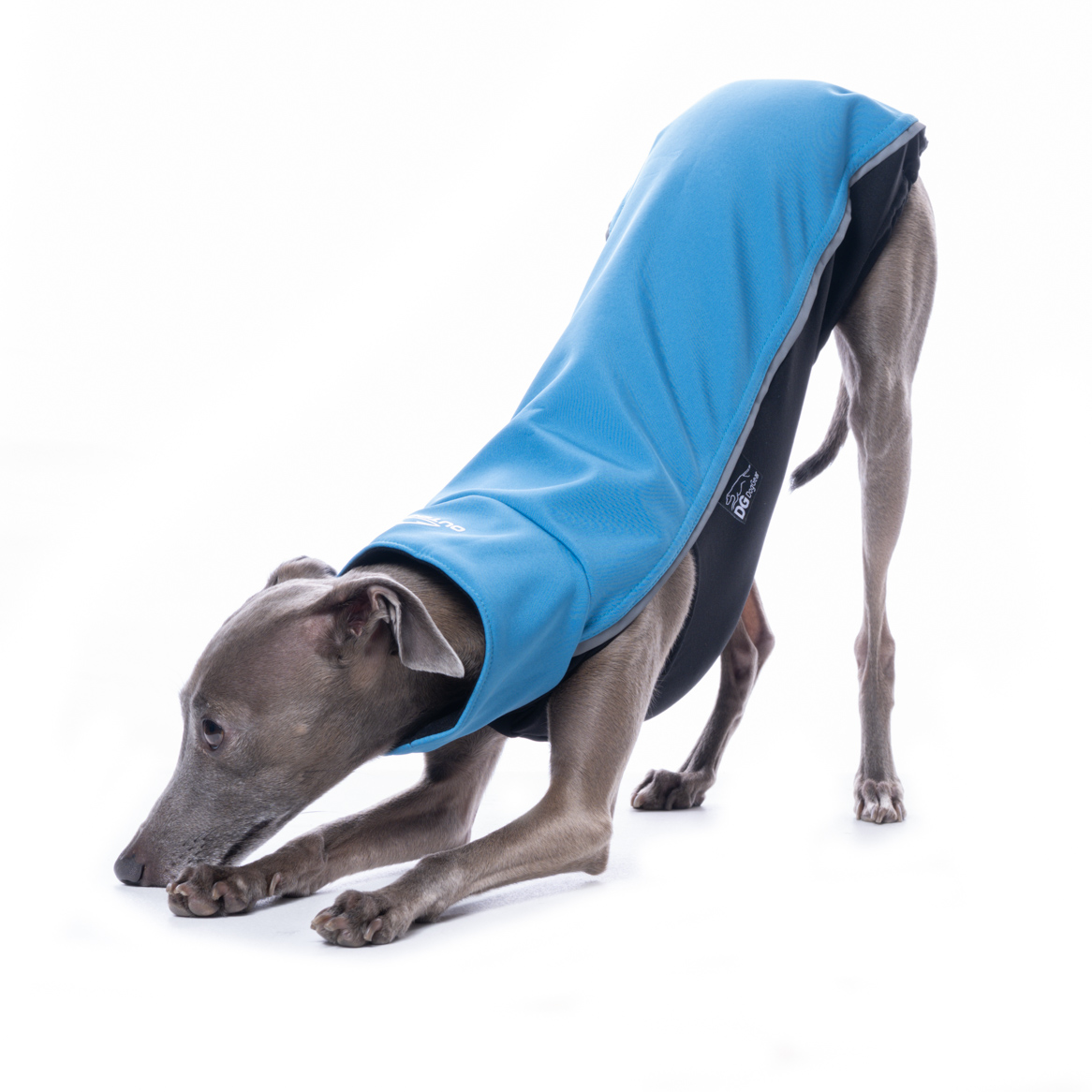 DG OUTDOOR TOP SOFT SHELL "MEDDITERIAN BLUE – Bild 3