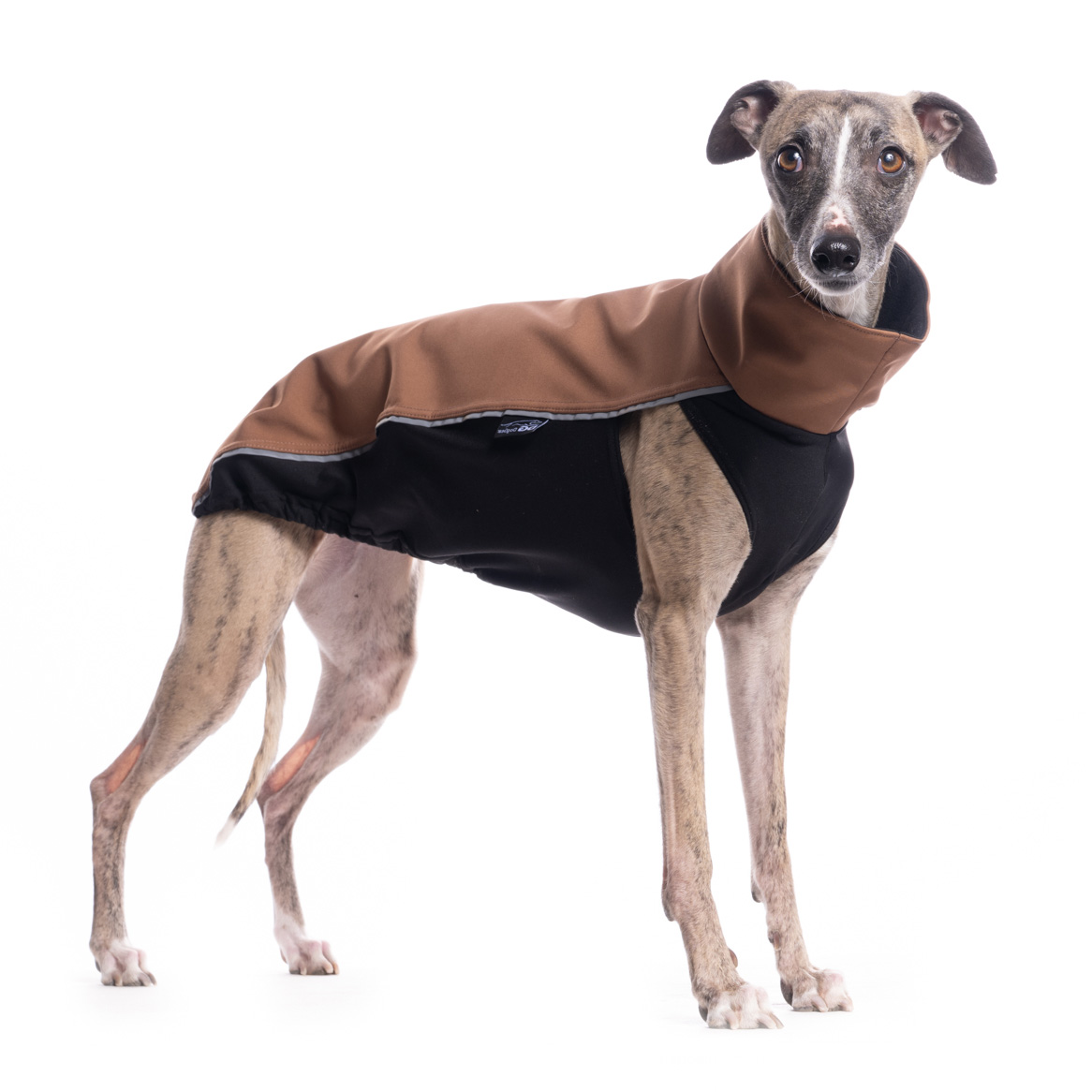 DG OUTDOOR TOP SOFT SHELL "MOCHA BISQUE – Bild 2