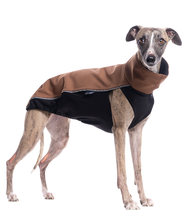 DG OUTDOOR TOP SOFT SHELL "MOCHA BISQUE