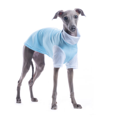 DG SUNVEIL™ UPF50+ TEE AIRY BLUE