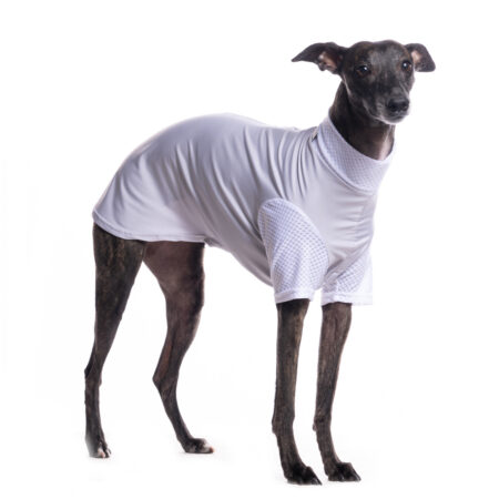 DG SUNVEIL™ UPF50+ TEE GRAY DAWN