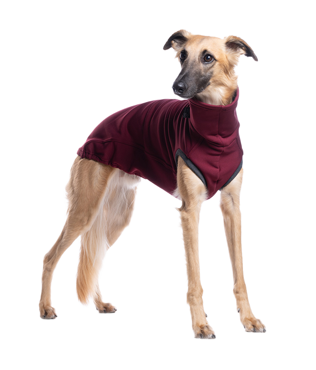 DG URBAN JUMPER "TAWNY PORT"