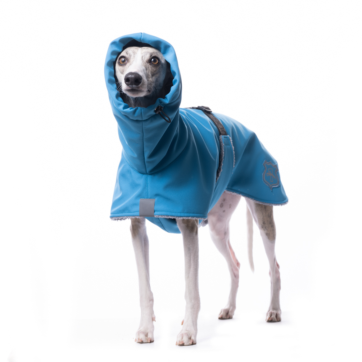 DG WH FLUFFY PLUS JACKET "MEDITERRANEAN BLUE" - Image 2