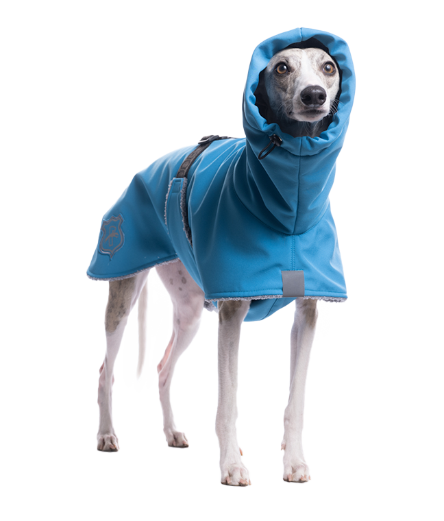 DG WH FLUFFY PLUS JACKET "MEDITERRANEAN BLUE"
