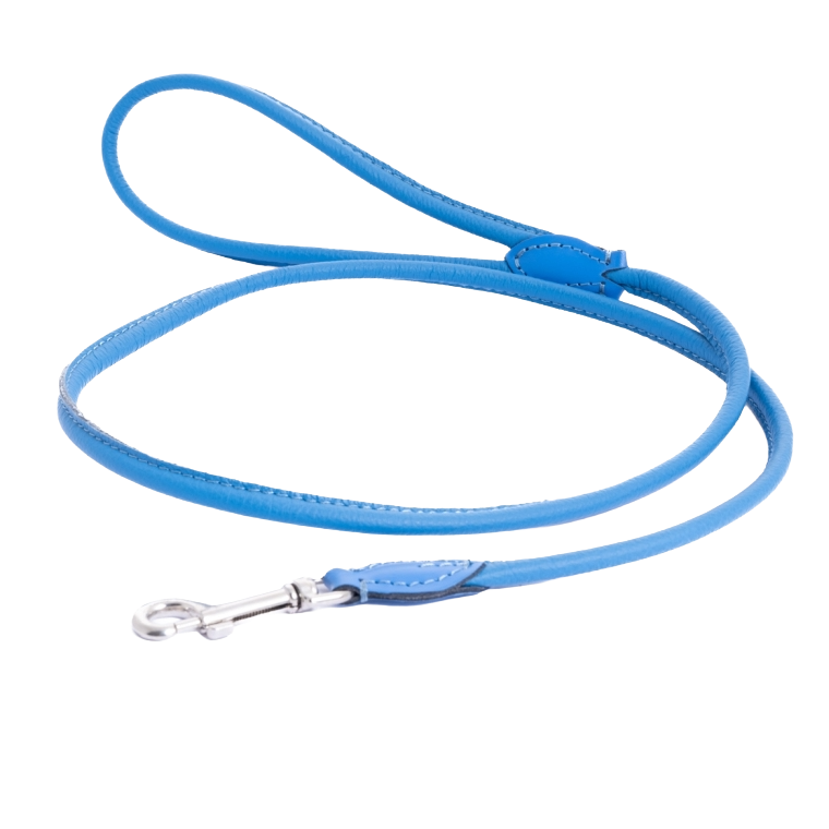 120 cm Leine "BLUE