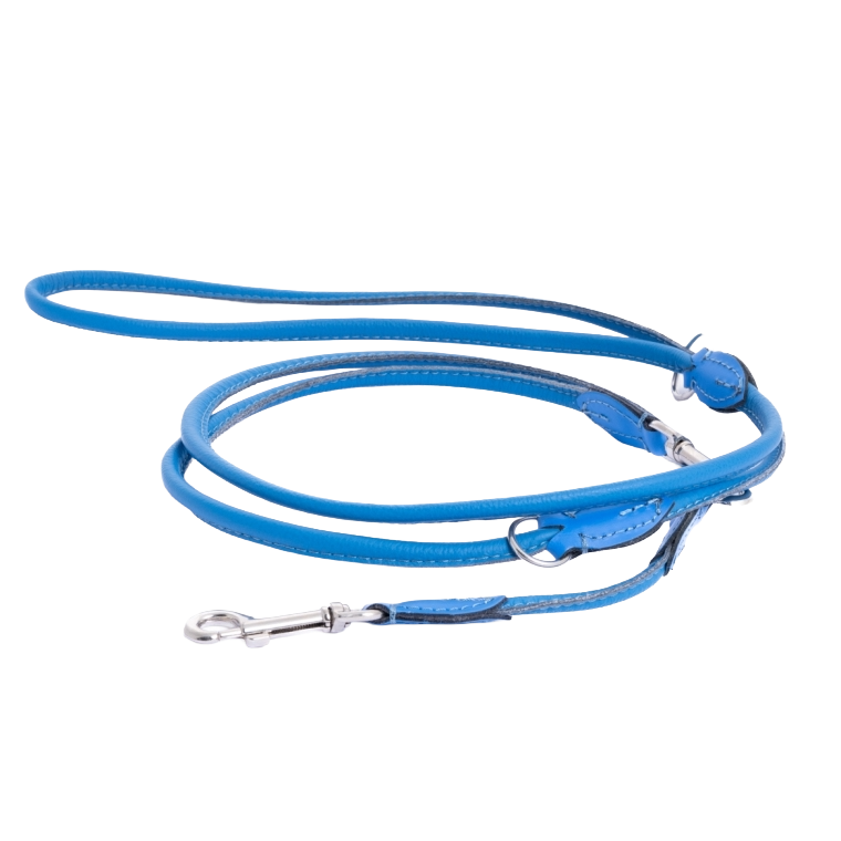 220 cm Leine "BLUE