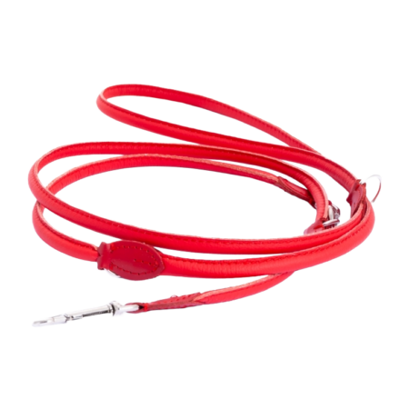 220 cm Leine „RED