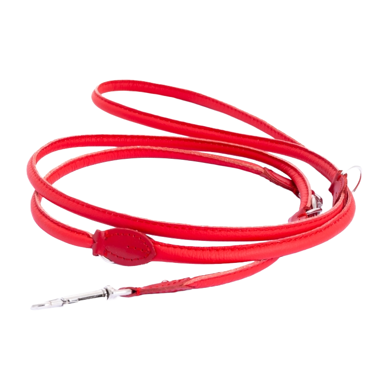 220 cm Leine "RED