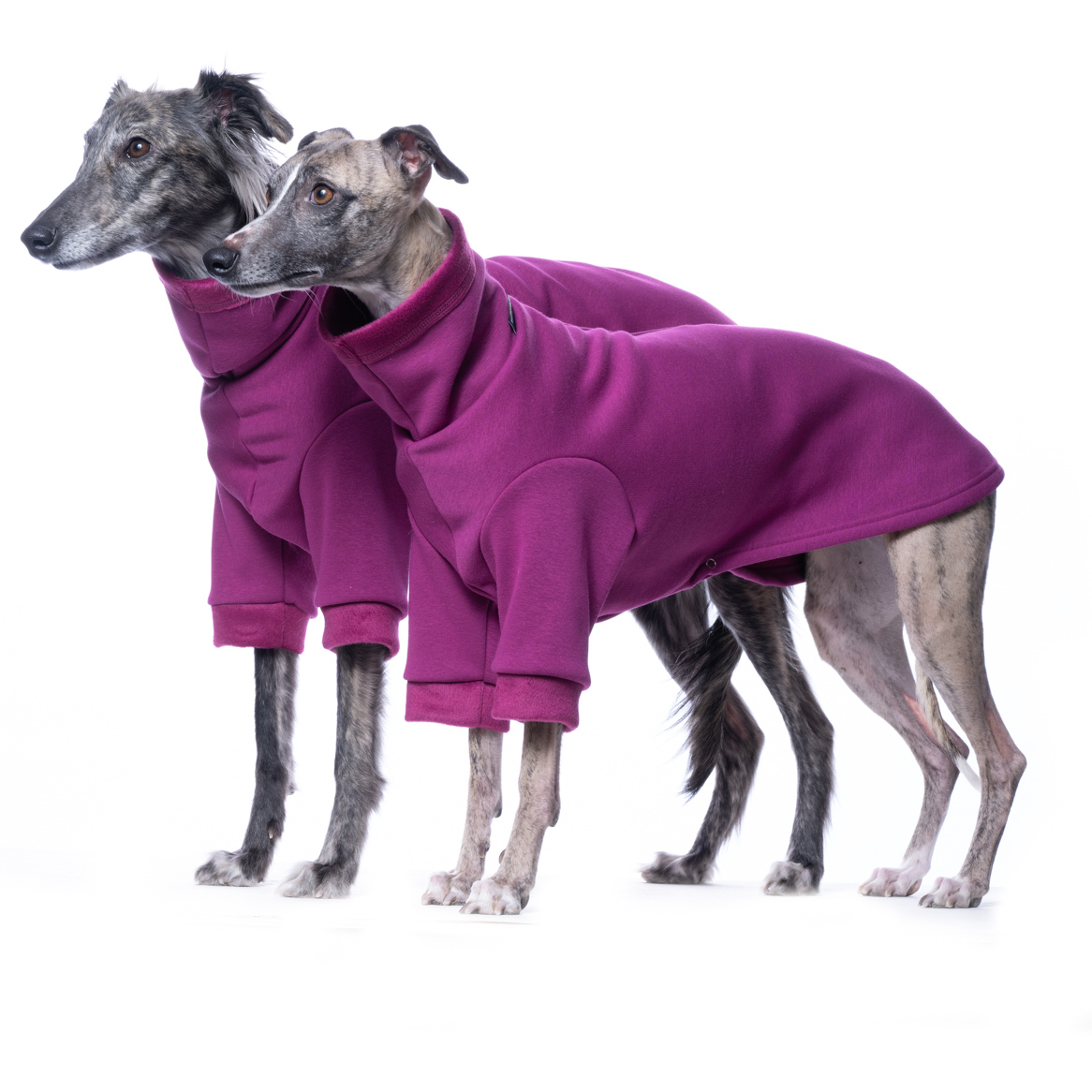 DG BASIC WARMKEEPER SWEATSHIRT FUCHSIA - Obrázek 2