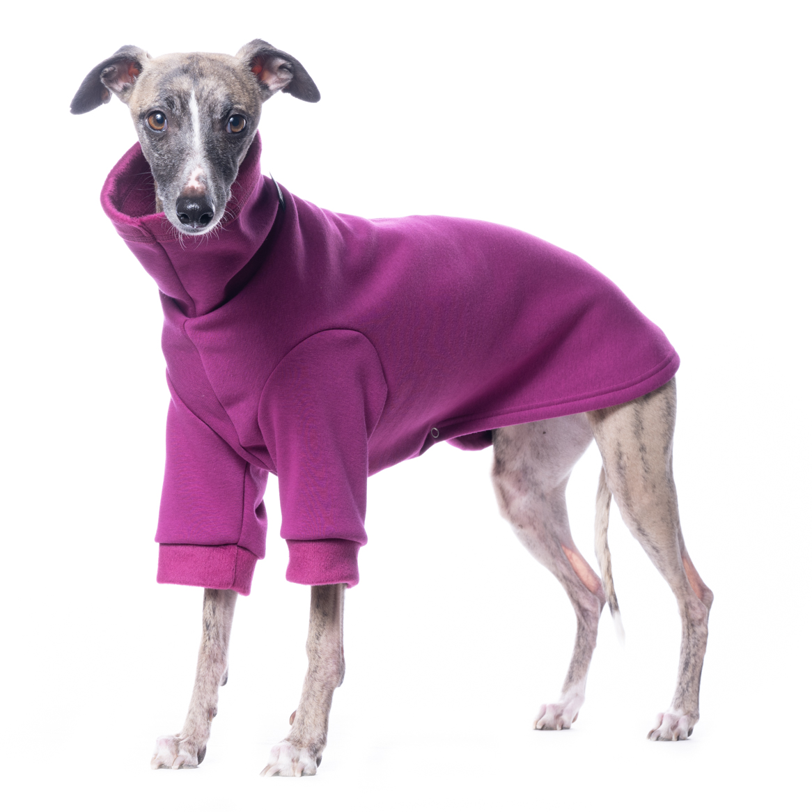 DG BASIC WARMKEEPER SWEATSHIRT FUCHSIA