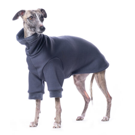 DG BASIC WARMKEEPER SWEATSHIRT SEABORN