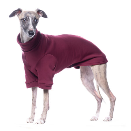 DG OUTDOOR WINTER UNDERWEAR TAWNY PORT